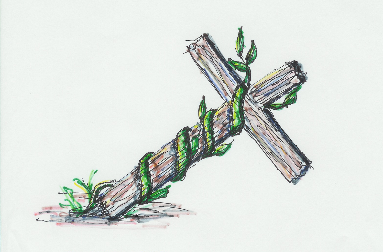 CrossVine
